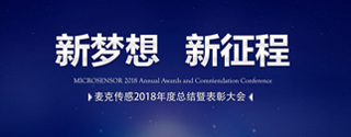 麥克傳感2018年度總結暨表彰大會隆重召開